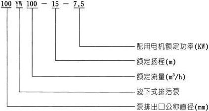 YW无堵塞液下式草莓视频网站在线观看入口型号意义