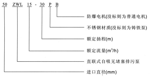 ZWL直联式自吸草莓视频网站在线观看入口型号意义